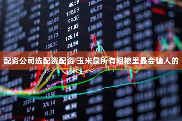 配资公司选配资配资 玉米是所有粗粮里最会骗人的