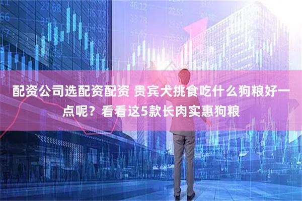 配资公司选配资配资 贵宾犬挑食吃什么狗粮好一点呢？看看这5款长肉实惠狗粮
