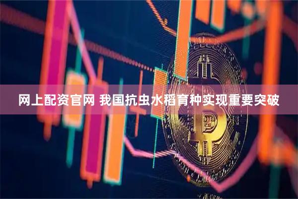 网上配资官网 我国抗虫水稻育种实现重要突破