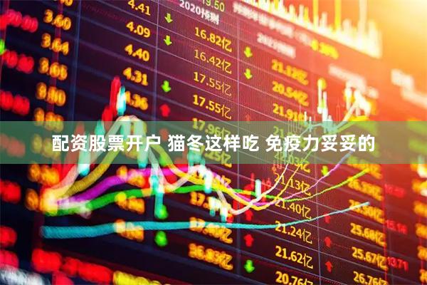 配资股票开户 猫冬这样吃 免疫力妥妥的