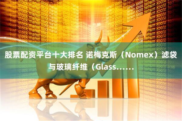 股票配资平台十大排名 诺梅克斯（Nomex）滤袋与玻璃纤维（Glass……