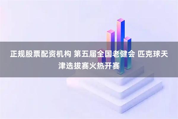 正规股票配资机构 第五届全国老健会 匹克球天津选拔赛火热开赛