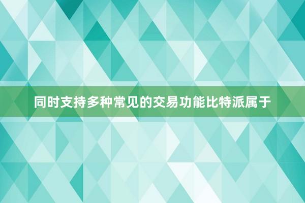 同时支持多种常见的交易功能比特派属于