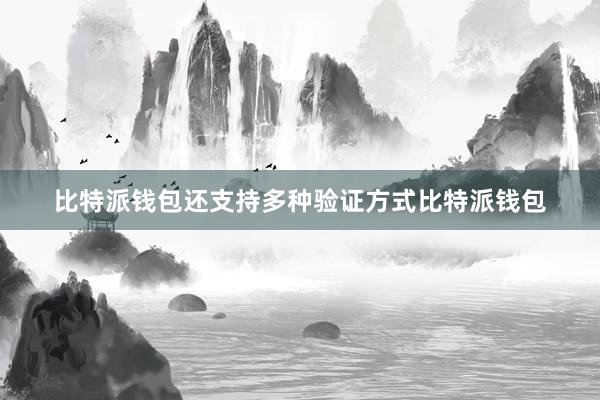 比特派钱包还支持多种验证方式比特派钱包