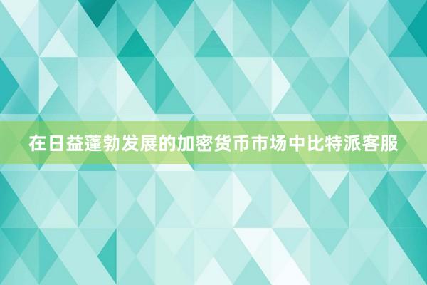 在日益蓬勃发展的加密货币市场中比特派客服