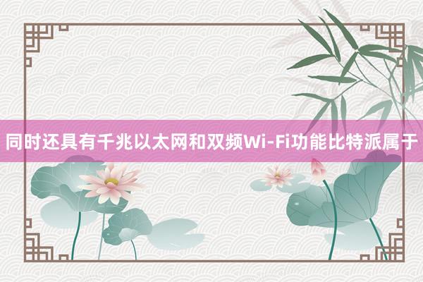 同时还具有千兆以太网和双频Wi-Fi功能比特派属于