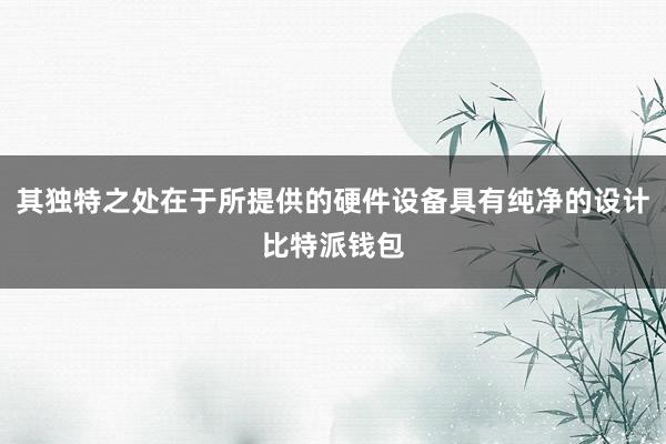 其独特之处在于所提供的硬件设备具有纯净的设计比特派钱包