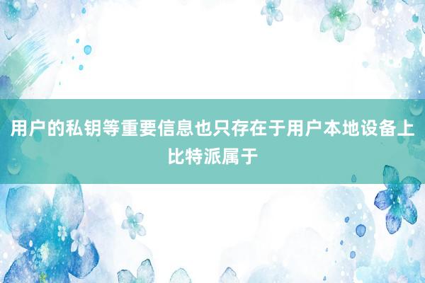 用户的私钥等重要信息也只存在于用户本地设备上比特派属于