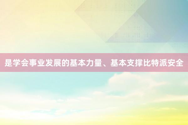 是学会事业发展的基本力量、基本支撑比特派安全