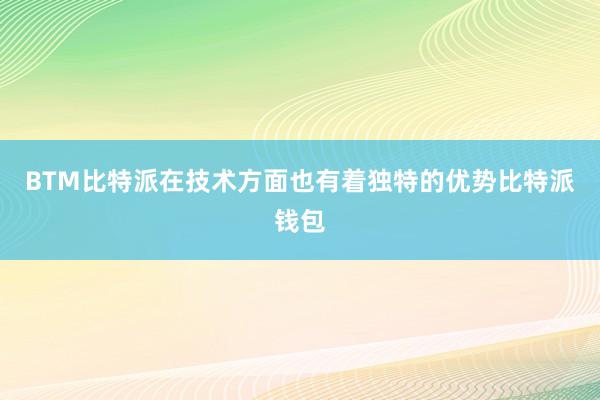 BTM比特派在技术方面也有着独特的优势比特派钱包