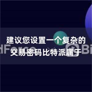 建议您设置一个复杂的交易密码比特派属于