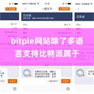 bitpie网站除了多语言支持比特派属于