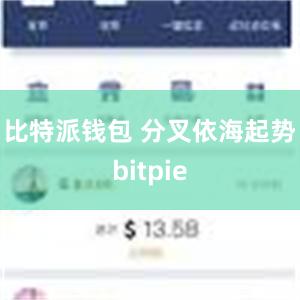 比特派钱包 分叉　　依海起势bitpie