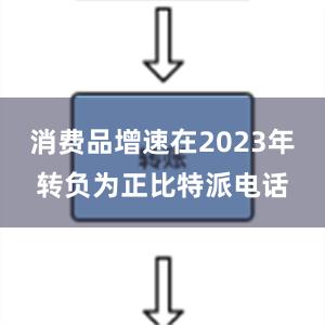 消费品增速在2023年转负为正比特派电话