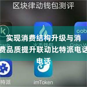 实现消费结构升级与消费品质提升联动比特派电话